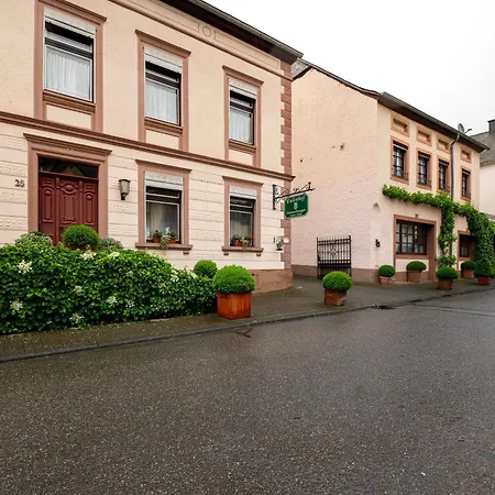 Eulennest 2 * Minheim